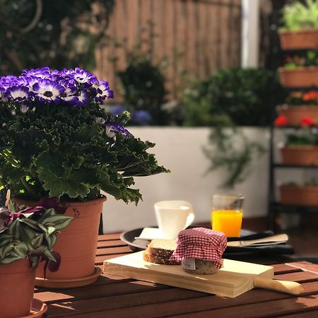 Eixample Modernista Apartment Barselona Dış mekan fotoğraf