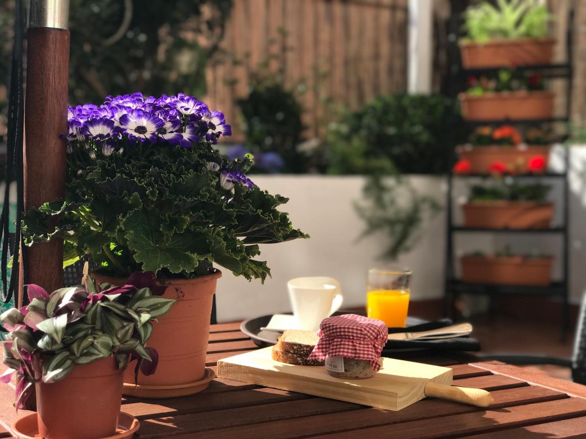 Eixample Modernista Apartment Barselona Dış mekan fotoğraf